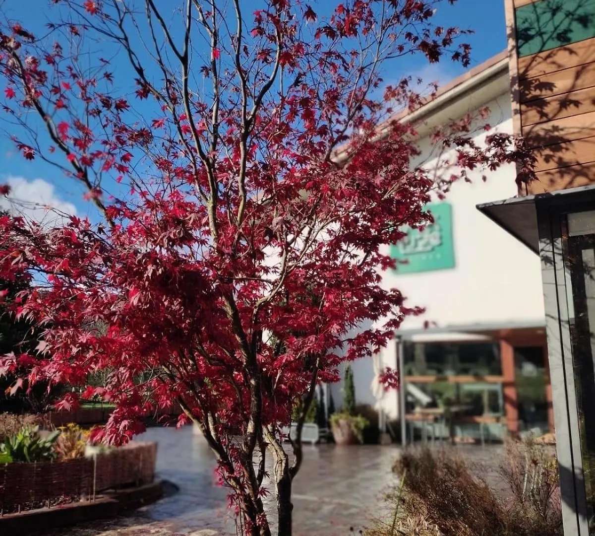 ** Hotel Soraluze Hotela Oñate Spanje